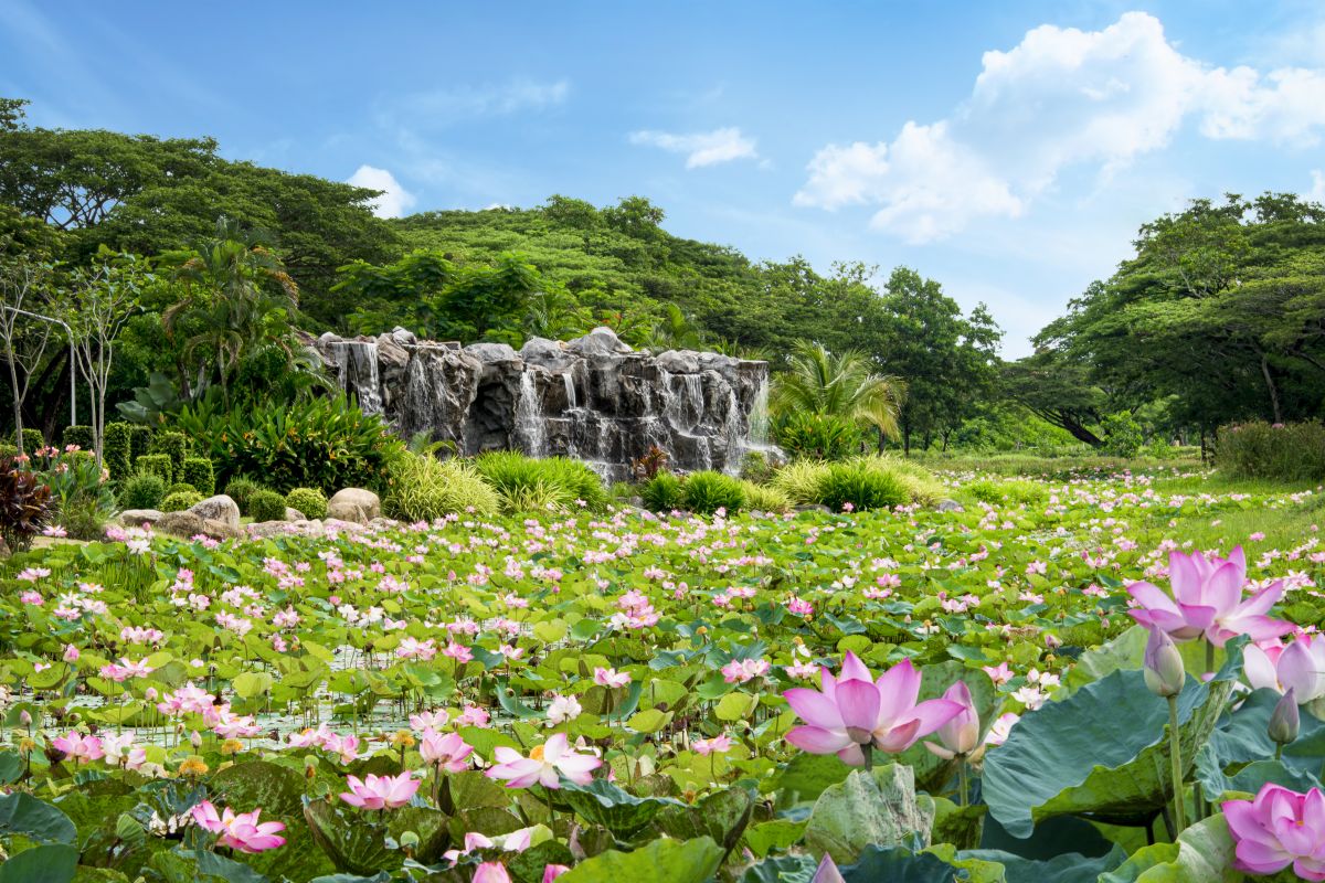 น้ำตกทิพย์พิมาน