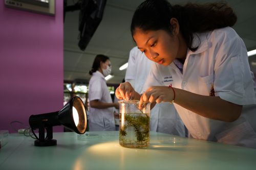 ปฏิบัติการจุลชีววิทยา