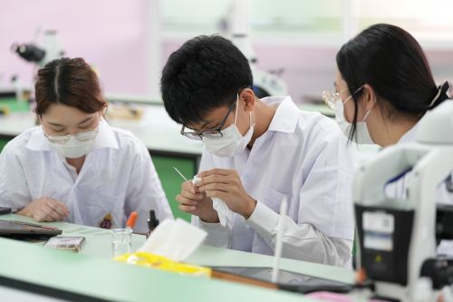 ปฏิบัติการจุลชีววิทยา