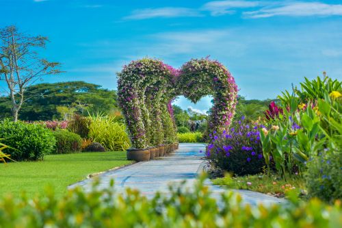 ซุ้มเฟื่องฟ้ารูปหัวใจ