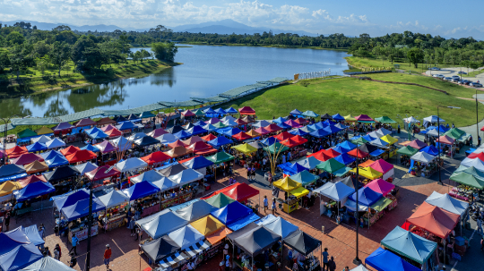 Bota Green Market Chic & Chill 